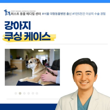 강아지 쿠싱 케이스