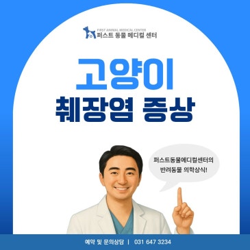 고양이가 밥을 안 먹고 축 처진다면? 췌장염 증상 알아보기 병원 블로그 표지